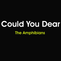 The Amphibians - Could You Dear (Explicit)