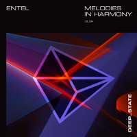 Entel - Melodies in Harmony (Edits)