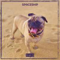Just D - Spaceship