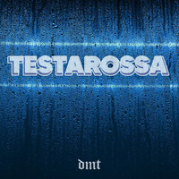 dmt - Testarossa