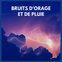 Sons de la Nature Projet France de TraxLab - Bruits d'Orage et de pluie