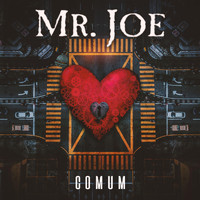 Mr Joe - Comum