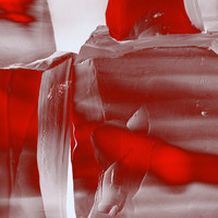 FERN - Hyperreal