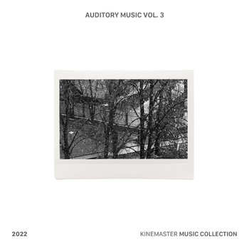 Auditory Music - Auditory Music Vol. 3, KineMaster Music Collection