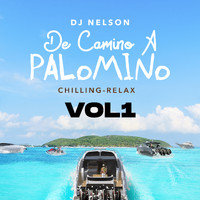 DJ Nelson - De Camino A Palomino, Vol. 1