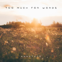 Anastace - Too Much for Words
