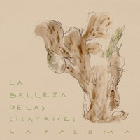 La Paloma - La Belleza de las Cicatrices (feat. Jimena Lopez Chaplin)