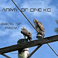 Army of One KC - Birds of Prey