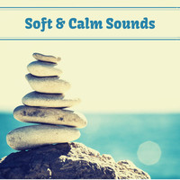 Zen Mindwaves - Soft & Calm Sounds - Nature Sounds for Relaxation