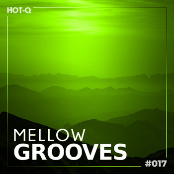 Various Artists - Mellow Grooves 017