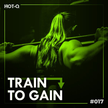 Various Artists - Train To Gain 017