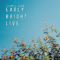 Seamus Egan - Early Bright Live