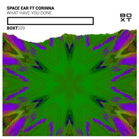 Space Ear - What Have You Done