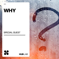 Special Guest - Why