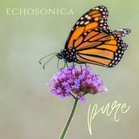 Echosonica - Pure