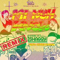 Shaggy - Mi Nuh Know (Remix) [feat. Chris Marshall] (Explicit)