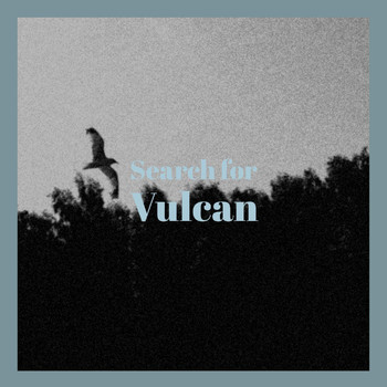 Various Artist - Search for Vulcan