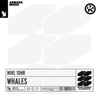 Mike Tohr - Whales