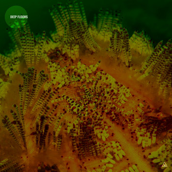 Various Artists - Deep Floors