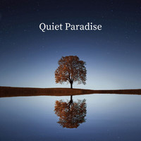 Axiom - Quiet Paradise