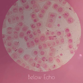 Various Artists - Below Echo