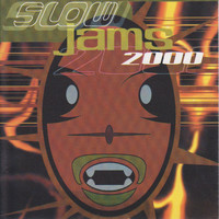 DJ Static - Slow Jams 2000