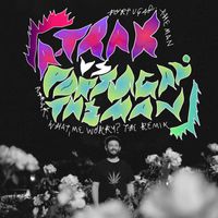 Portugal. The Man - What, Me Worry? (A-Trak Remix)