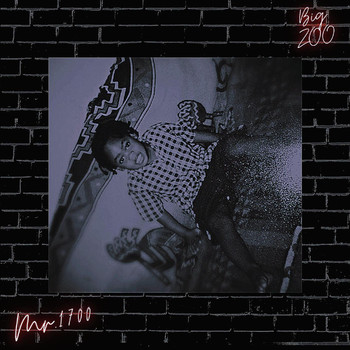 Zoo - Mr.1700 (Explicit)