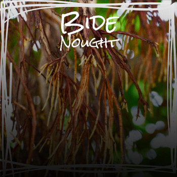 Various Artists - Bide Nought
