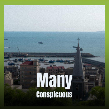 Various Artists - Many Conspicuous