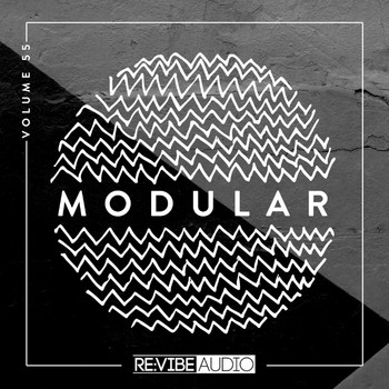 Various Artists - Modular, Vol. 55