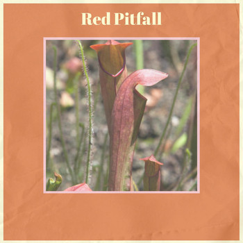 Various Artists - Red Pitfall