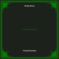 Muddy Waters - Sings Big Bill Broonzy (Hq remastered)