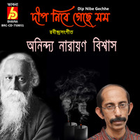 Anindya Narayan Biswas - Dip Nibhe Gechhe