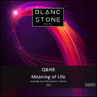 Q&NB - Meaning of Life