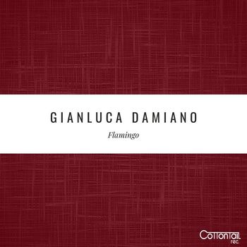 Gianluca Damiano - Flamingo