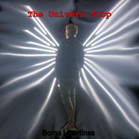 Borna Libertines - The Universe Stop