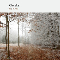 Cheeky - Icy Road