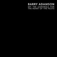 Barry Adamson - Set the Controls for the Heart of the Pelvis (feat. Jarvis Cocker) (Single Version)