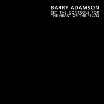 Barry Adamson - Set the Controls for the Heart of the Pelvis (feat. Jarvis Cocker) (Single Version)