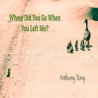 Anthony Tony - Where Did You Go When You Left Me?