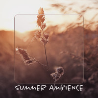 Minimal Lounge - Summer Ambience: Chill Oute, Relax and Music