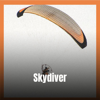 Various Artists - Skydiver