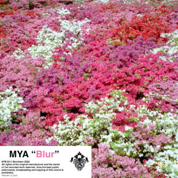 Mya - Blur (Explicit)