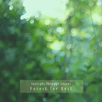 Forest for Rest - Sunlight Through Leaves (Alpha Sinus 62Hz - 68Hz)