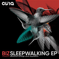 BIZ - Sleep Walking