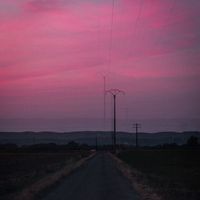Tim - Purple