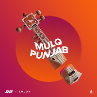 Simz - Mulq Punjab (Original Mix)