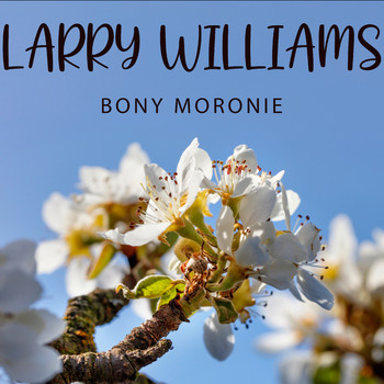 Larry Williams - Bony Moronie