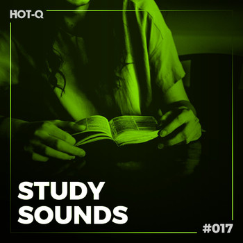 Various Artists - Study Sounds 017